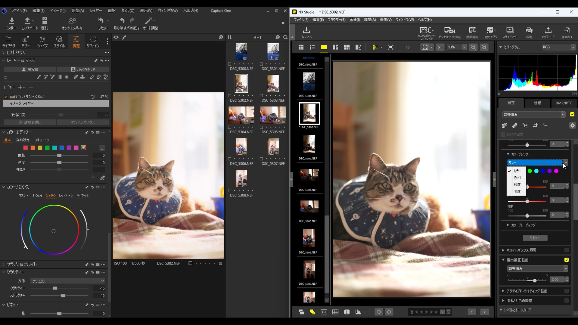 Capture Oneのカラーエディター、カラーバランスに相当する機能が、NX Studioではカラーブレンダー、カラーグレーディングになります。Capture Oneは色味を細かく調整できると評判が高いですが、これがまさにカラーエディター、カラーバランスの機能で、それとほぼ同じ機能が無料なのにNX Studioで使えるのは驚きました。カラーエディターでは各色の彩度や明度、色相などを変えられるので、細かな色調整ができます。個人的には色の深みを出したいときに明度を下げています。