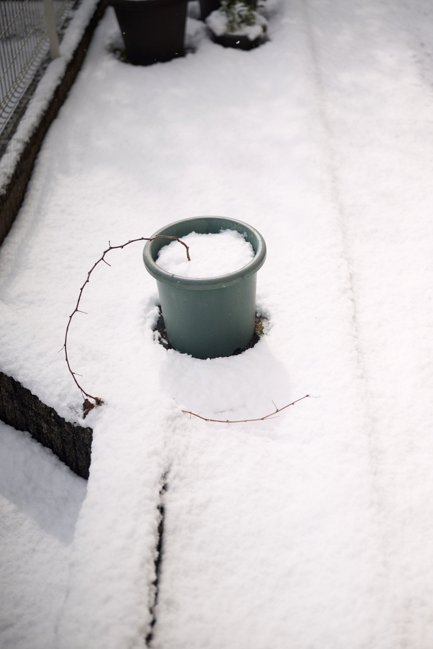 ニコンZ5とNIKKOR Z 50mm f/1.8Sで撮った写真。私の住む地域では珍しく、10cm以上の積雪でした。玄関周りもこの通り白銀の世界。Nikon Z5はエントリー機と侮るなかれ、メカシャッタースピードは1/8000秒まで対応しているので、f1.8でも白飛びを防げます。