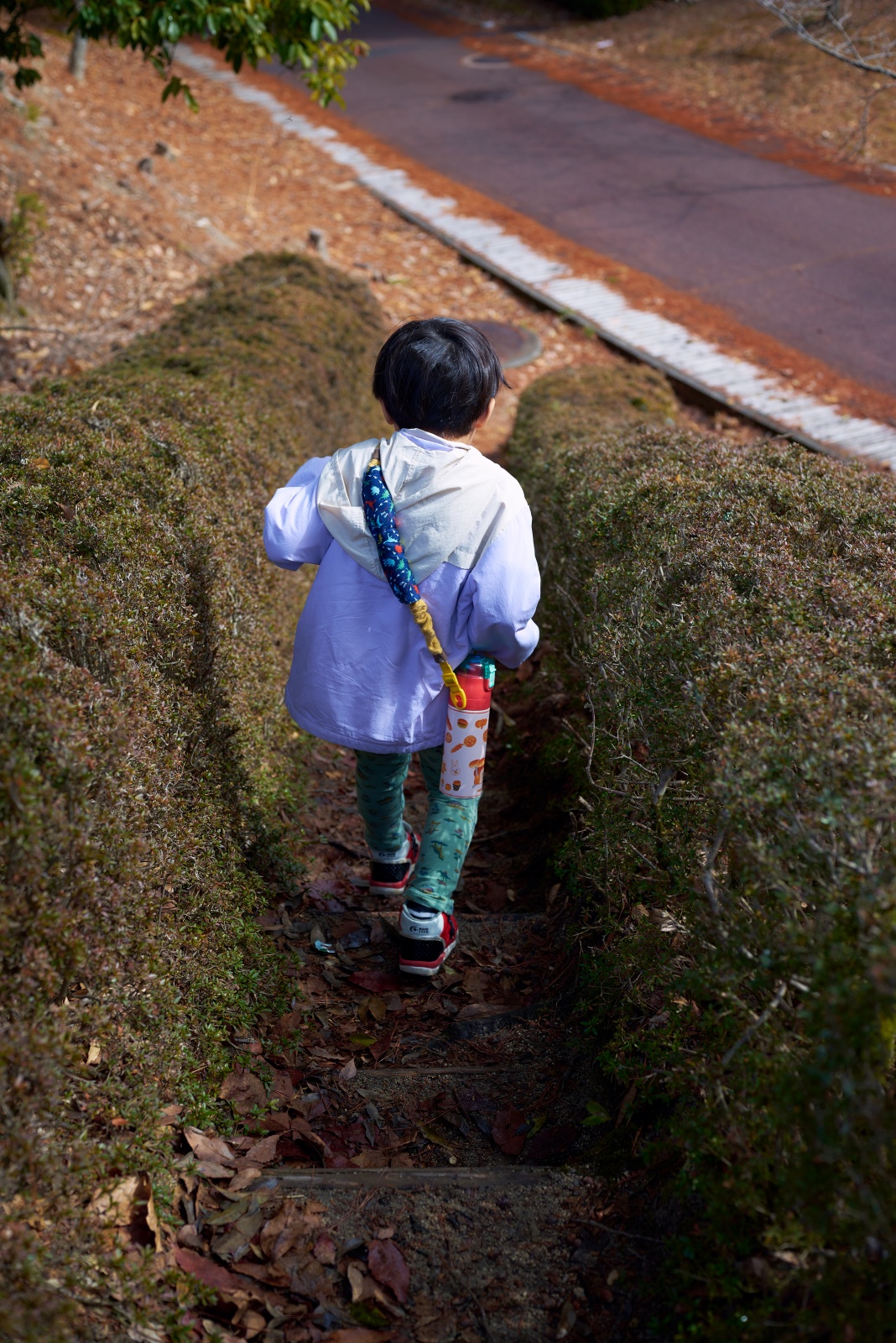 ニコンZ5とNIKKOR Z 50mm f/1.8Sで撮った写真。森林公園内にある昆虫館へ意気揚々と向かう息子。NIKKOR Z 50mm f/1.8 Sは立体感のある絵がでてきます。